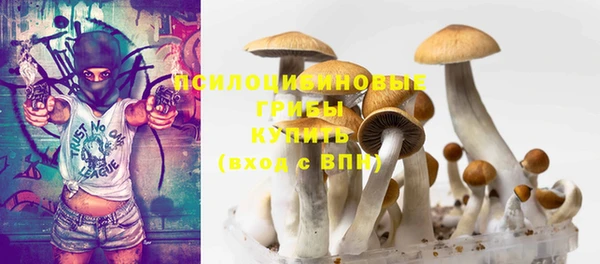 таблы Алексеевка